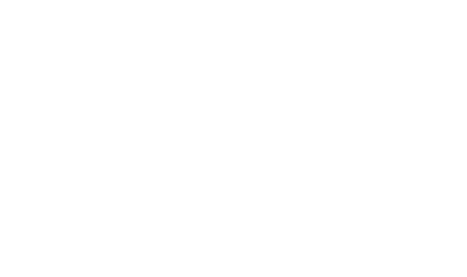 BrawBars